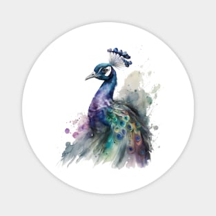 Peacock Watercolour Magnet